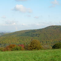 Blick vom Burgberg auf den Gemeindewald der Stadt Nideggen.
