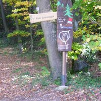 Mit Hilfe des Forstamtes hat die Gemeinde Hürtgenwald im Jahre 2007 einen Waldlehrpfad für Kinder auf dem Burgberg angelegt.