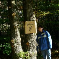 Eine Person neben einer Informationstafel des Waldlehrpfades