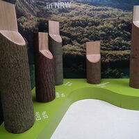 Die unterschiedlichen Holzarten der Wäler in Nordrhein-Westfalen, welche anschaulich dargestellt sind.