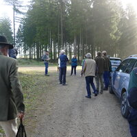 Gruppe verschiedener Menschen verteilt auf Waldwegen, Autos am Rand