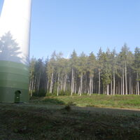 Fuß einer Windkraftanlage im Nadelwald