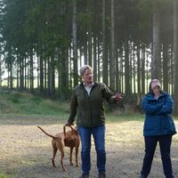 Försterin mit Hund erklärt im Wald, weitere Menschen schauen